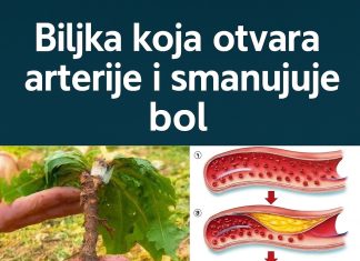 🌿 Čaj od maslačka: Nježna prirodna tajna za svakodnevno blagostanje 🌿 Čaj od maslačka: Nježna prirodna tajna za svakodnevno blagostanje - featured image