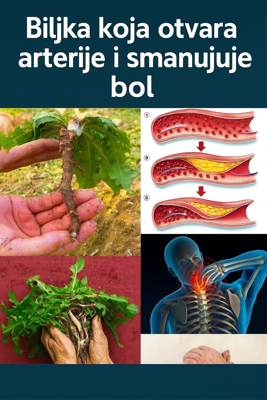 🌿 Čaj od maslačka: Nježna prirodna tajna za svakodnevno blagostanje - featured image 🌿 Čaj od maslačka: Nježna prirodna tajna za svakodnevno blagostanje - featured image