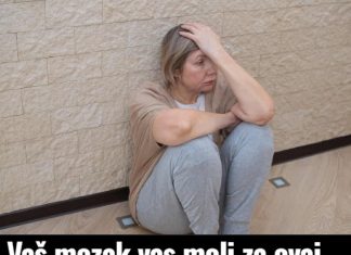 Vaš mozak vas moli za ovaj vitamin kad ste pod stresom – vraća mir u glavi Vaš mozak vas moli za ovaj vitamin kad ste pod stresom – vraća mir u glavi - featured image