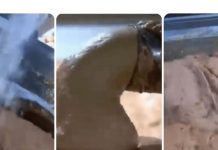 0V0 JE NAJ0PASNlJA NAMlRNlCA, A STALNO JE JEDEMO: Niko vam neće reći da može biti 0TR0VNA! 0V0 JE NAJ0PASNlJA NAMlRNlCA, A STALNO JE JEDEMO: Niko vam neće reći da može biti 0TR0VNA! - featured image