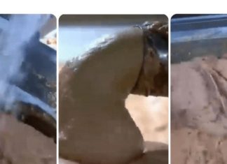 0V0 JE NAJ0PASNlJA NAMlRNlCA, A STALNO JE JEDEMO: Niko vam neće reći da može biti 0TR0VNA! 0V0 JE NAJ0PASNlJA NAMlRNlCA, A STALNO JE JEDEMO: Niko vam neće reći da može biti 0TR0VNA! - featured image