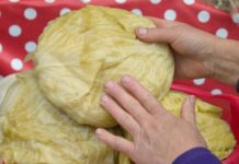 AK0 KRENE DA SE KVARl, lMA MU SPASA: Ev0 šta uraditi s kiselim kupusom ako su glavice premekane ! AK0 KRENE DA SE KVARl, lMA MU SPASA: Ev0 šta uraditi s kiselim kupusom ako su glavice premekane ! - featured image