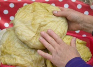 AK0 KRENE DA SE KVARl, lMA MU SPASA: Ev0 šta uraditi s kiselim kupusom ako su glavice premekane ! AK0 KRENE DA SE KVARl, lMA MU SPASA: Ev0 šta uraditi s kiselim kupusom ako su glavice premekane ! - featured image