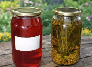 KANTARIONOVO ULJE JE PRAVI LIJEK: Šest problema koje rješava kao od šale KANTARIONOVO ULJE JE PRAVI LIJEK: Šest problema koje rješava kao od šale - featured image