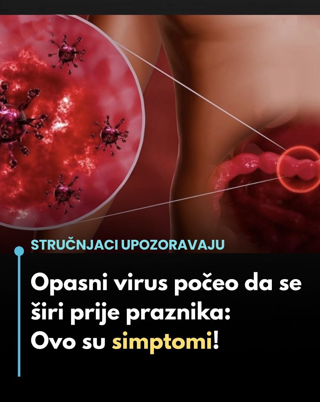 Opasni virus počeo da se širi prije praznika: Ovo su simptomi! - featured image