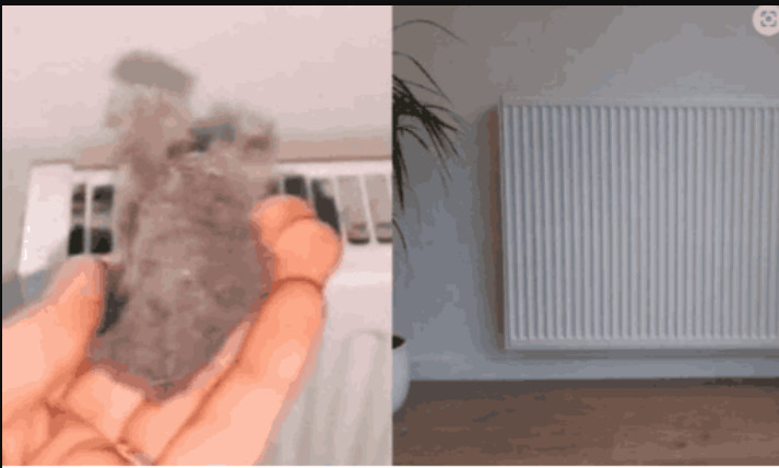 EVO KAKO DA OČISTITE RADIJATORE ZA MINUTU: Bolju foru niste vidjeli, kako se niko ranije nije sjetio ovoga?! - featured image
