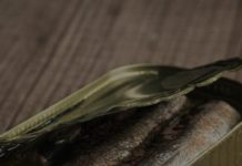 “Opasne su za mozak”: Neurolog otkrio koje četiri namirnice nikada ne jede “Opasne su za mozak”: Neurolog otkrio koje četiri namirnice nikada ne jede - featured image