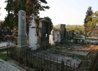 POSLIJE 40 DANA OTKOPAVAJU POKOJNIKA DA GA SUNCE OGRIJE: Milica je ranom zorom OTVORILA GROB svog sina, RAZLOG ĆE VAS Š0KIRATI POSLIJE 40 DANA OTKOPAVAJU POKOJNIKA DA GA SUNCE OGRIJE: Milica je ranom zorom OTVORILA GROB svog sina, RAZLOG ĆE VAS Š0KIRATI - featured image