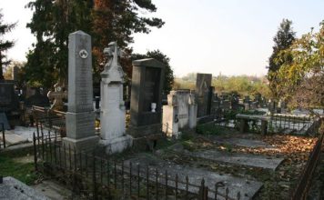 POSLIJE 40 DANA OTKOPAVAJU POKOJNIKA DA GA SUNCE OGRIJE: Milica je ranom zorom OTVORILA GROB svog sina, RAZLOG ĆE VAS Š0KIRATI POSLIJE 40 DANA OTKOPAVAJU POKOJNIKA DA GA SUNCE OGRIJE: Milica je ranom zorom OTVORILA GROB svog sina, RAZLOG ĆE VAS Š0KIRATI - featured image