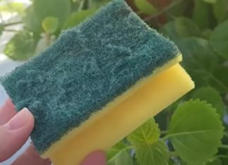 Nikada ne bacajte stari sunđer: Kada vidite čemu služi čuvat ćete ga kao oči u glavi Nikada ne bacajte stari sunđer: Kada vidite čemu služi čuvat ćete ga kao oči u glavi - featured image