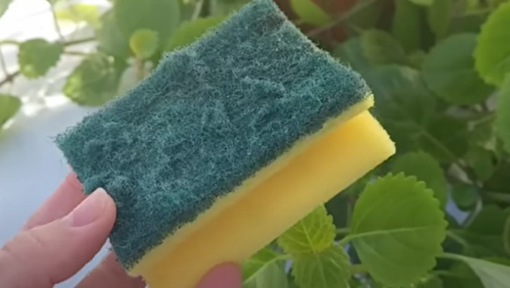 Nikada ne bacajte stari sunđer: Kada vidite čemu služi čuvat ćete ga kao oči u glavi - featured image