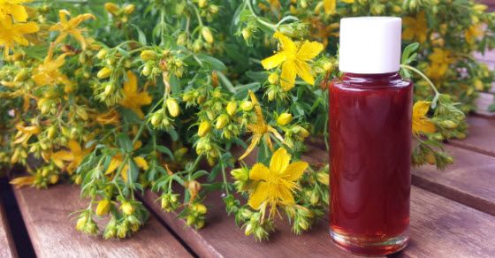 KANTARIONOVO ULJE JE PRAVI LIJEK: Šest problema koje rješava kao od šale - featured image