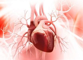 Ljudi misle da im je pao pritisak, a ustvari srce je stalo na trenutak: Srpski kardiolog otkrio šta prvo da uradite kad preskače i lupa Ljudi misle da im je pao pritisak, a ustvari srce je stalo na trenutak: Srpski kardiolog otkrio šta prvo da uradite kad preskače i lupa - featured image