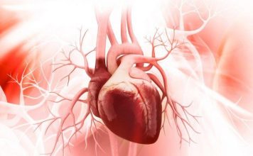 Ljudi misle da im je pao pritisak, a ustvari srce je stalo na trenutak: Srpski kardiolog otkrio šta prvo da uradite kad preskače i lupa Ljudi misle da im je pao pritisak, a ustvari srce je stalo na trenutak: Srpski kardiolog otkrio šta prvo da uradite kad preskače i lupa - featured image