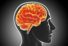 10 navika koje nam uništavaju mozak: Ovo garantovano dovodi do demencije 10 navika koje nam uništavaju mozak: Ovo garantovano dovodi do demencije - featured image