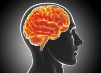 10 navika koje nam uništavaju mozak: Ovo garantovano dovodi do demencije 10 navika koje nam uništavaju mozak: Ovo garantovano dovodi do demencije - featured image