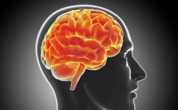 10 navika koje nam uništavaju mozak: Ovo garantovano dovodi do demencije 10 navika koje nam uništavaju mozak: Ovo garantovano dovodi do demencije - featured image