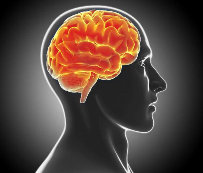 10 navika koje nam uništavaju mozak: Ovo garantovano dovodi do demencije - featured image