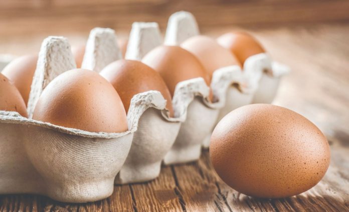 10 namirnica bogatih kolagenom koje biste trebali konzumirati svakodnevno za zdravlje kostiju i mladolik izgled - featured image 10 namirnica bogatih kolagenom koje biste trebali konzumirati svakodnevno za zdravlje kostiju i mladolik izgled - featured image