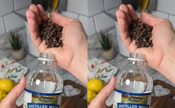 Uzmite čašu sirćeta, običnih karanfilića i dobro sačuvajte ovaj domaći trik: KORISTIM GA GODINAMA I PREPORUČUJEM SVIMA! Uzmite čašu sirćeta, običnih karanfilića i dobro sačuvajte ovaj domaći trik: KORISTIM GA GODINAMA I PREPORUČUJEM SVIMA! - featured image