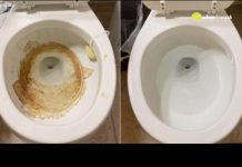 Nije sirÄe ni soda bikarbona: Ovo sredstvo najbolje uklanja kamenac u WC Å”olji Nije sirÄe ni soda bikarbona: Ovo sredstvo najbolje uklanja kamenac u WC Å”olji - featured image