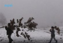 Šta znači ako pada snijeg na Božić: Kakva nas godina čeka? Šta znači ako pada snijeg na Božić: Kakva nas godina čeka? - featured image