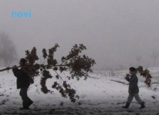 Šta znači ako pada snijeg na Božić: Kakva nas godina čeka? Šta znači ako pada snijeg na Božić: Kakva nas godina čeka? - featured image