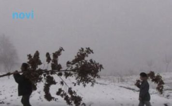 Šta znači ako pada snijeg na Božić: Kakva nas godina čeka? Šta znači ako pada snijeg na Božić: Kakva nas godina čeka? - featured image