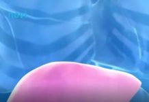 Hepatolog tvrdi da jedno voće obnavlja jetru za 7 dana, a sve zbog ovog enzima Hepatolog tvrdi da jedno voće obnavlja jetru za 7 dana, a sve zbog ovog enzima - featured image