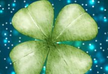 Pet godina sreće: evo kojim znacima od 2025. Do 2030. Slede najlepše godine ikada! Pet godina sreće: evo kojim znacima od 2025. Do 2030. Slede najlepše godine ikada! - featured image