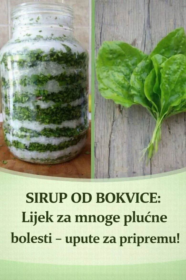 Sirup od bokvice – prirodni lijek za pluća, kašalj i sluz u disajnim putevima - featured image