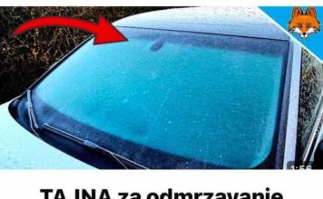 TAJNA za odmrzavanje zaleđenih prozora automobila u SEKUNDI…. TAJNA za odmrzavanje zaleđenih prozora automobila u SEKUNDI…. - featured image
