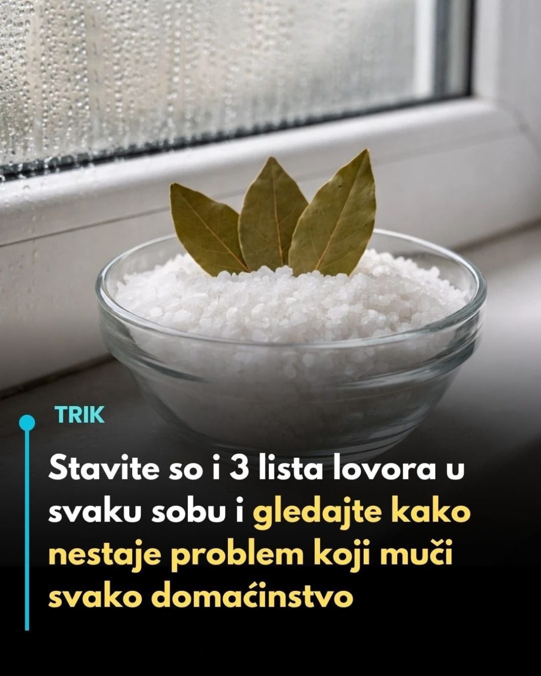 Stavite so i 3 lista lovora u svaku sobu i gledajte kako nestaje problem koji muči svako domaćinstvo… - featured image
