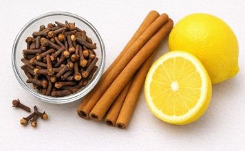 Čaj od klinčića, cimeta i limuna za bolje zdravlje: Recept i priprema Čaj od klinčića, cimeta i limuna za bolje zdravlje: Recept i priprema - featured image