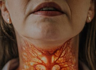 Ako imate problema sa štitnjačom, OVO vam je najveći neprijatelj: Ovu grešku pravi 8 od 10 ljudi sa štitnjačom Ako imate problema sa štitnjačom, OVO vam je najveći neprijatelj: Ovu grešku pravi 8 od 10 ljudi sa štitnjačom - featured image