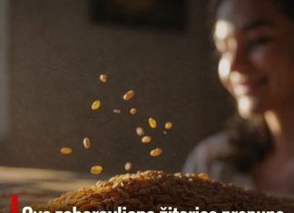 Ova zaboravljena žitarica prepuna je kolagena i stručnjaci kažu da usporava starenje tijela iznutra Ova zaboravljena žitarica prepuna je kolagena i stručnjaci kažu da usporava starenje tijela iznutra - featured image