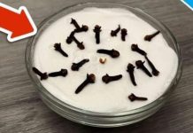 SVI ME PITAJU ZAŠTO U MOJOJ KUĆI TAKO LIJEPO MIRIŠE: Ovo je trik koji koristim, samo 2 sastojka – A KUĆA MIRIŠE DANIMA SVI ME PITAJU ZAŠTO U MOJOJ KUĆI TAKO LIJEPO MIRIŠE: Ovo je trik koji koristim, samo 2 sastojka – A KUĆA MIRIŠE DANIMA - featured image