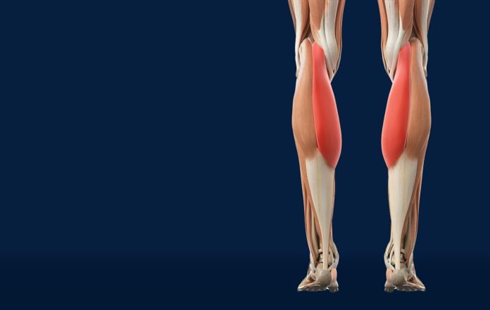 Slabost u nogama i gubitak snage često nemaju veze s godinama, nego s tanjurom. Postoji 6 namirnica koje čuvaju mišiće i pokretljivost. Provjerite da li ih jedete - featured image