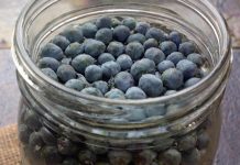 NajjačI prirodni lijek za šećernu bolest: obavezno zabilježite recept jer je njegova priprema jako jednostavna… NajjačI prirodni lijek za šećernu bolest: obavezno zabilježite recept jer je njegova priprema jako jednostavna… - featured image