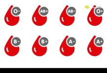 Vaša krv nosi tajnu vaše osobnosti: Jedna grupa posjeduje fantastične osobine ličnosti! Vaša krv nosi tajnu vaše osobnosti: Jedna grupa posjeduje fantastične osobine ličnosti! - featured image