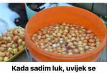 Kada sadim luk, UVlJEK SE PRlDRŽAVAM 0V0G SAVJETA M0G DEDE: Godinama imam takav rod da mu se i komšije dive! Kada sadim luk, UVlJEK SE PRlDRŽAVAM 0V0G SAVJETA M0G DEDE: Godinama imam takav rod da mu se i komšije dive! - featured image