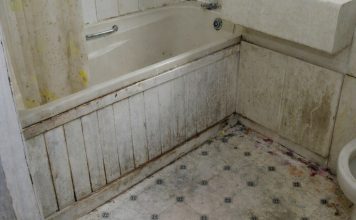 Nikada se ne biste setili: Vlaga i buđ nestaju uz ovaj začin, efekat je gotovo trenutni Nikada se ne biste setili: Vlaga i buđ nestaju uz ovaj začin, efekat je gotovo trenutni - featured image