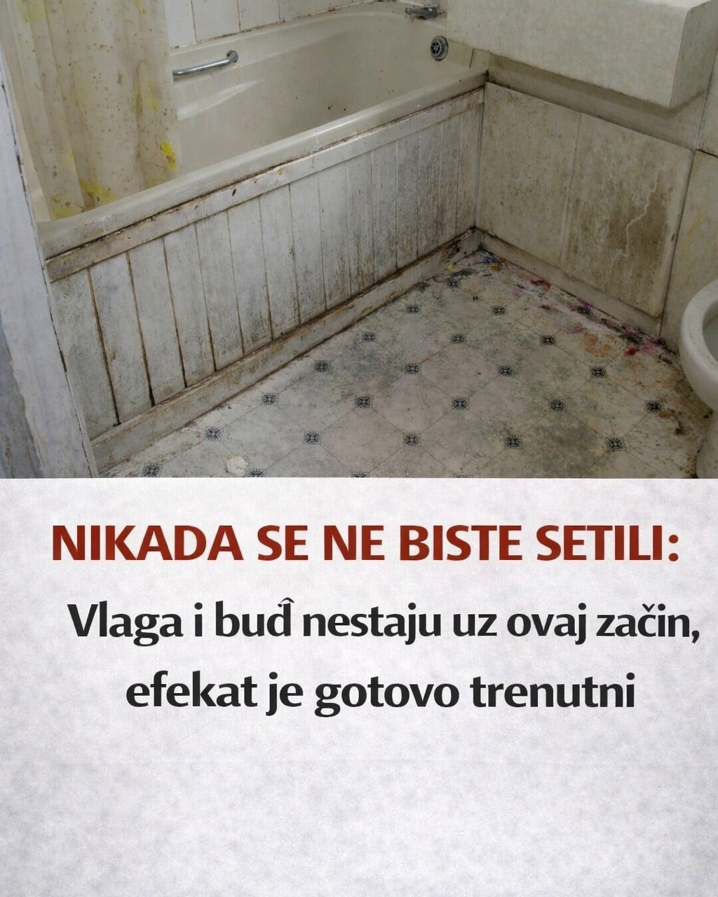 Nikada se ne biste setili: Vlaga i buđ nestaju uz ovaj začin, efekat je gotovo trenutni - featured image Nikada se ne biste setili: Vlaga i buđ nestaju uz ovaj začin, efekat je gotovo trenutni - featured image