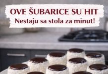 Ove ŠUBARICE su hit, nestaju sa stola za minut Ove ŠUBARICE su hit, nestaju sa stola za minut - featured image