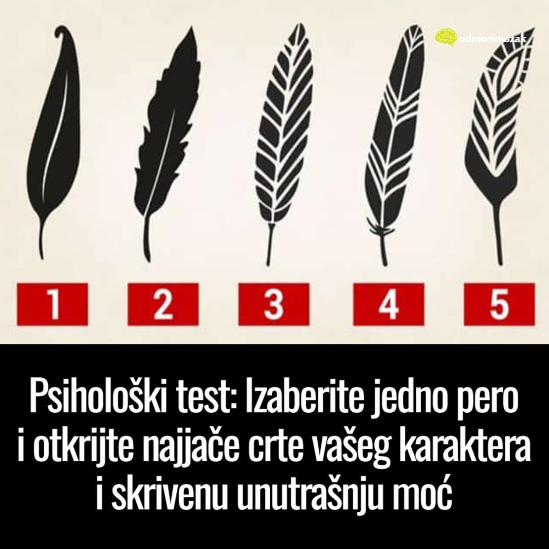 Psihološki test: Izaberite jedno pero i otkrijte najjače crte vašeg karaktera i skrivenu unutrašnju moć - featured image Psihološki test: Izaberite jedno pero i otkrijte najjače crte vašeg karaktera i skrivenu unutrašnju moć - featured image