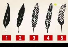 Psihološki test: Izaberite jedno pero i otkrijte najjače crte vašeg karaktera i skrivenu unutrašnju moć Psihološki test: Izaberite jedno pero i otkrijte najjače crte vašeg karaktera i skrivenu unutrašnju moć - featured image