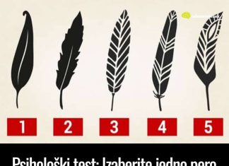 Psihološki test: Izaberite jedno pero i otkrijte najjače crte vašeg karaktera i skrivenu unutrašnju moć Psihološki test: Izaberite jedno pero i otkrijte najjače crte vašeg karaktera i skrivenu unutrašnju moć - featured image