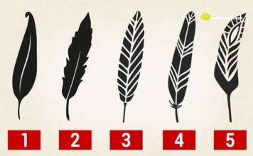 Psihološki test: Izaberite jedno pero i otkrijte najjače crte vašeg karaktera i skrivenu unutrašnju moć Psihološki test: Izaberite jedno pero i otkrijte najjače crte vašeg karaktera i skrivenu unutrašnju moć - featured image