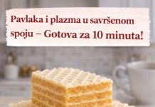 Pavlaka i plazma u savršenom spoju – Gotova za 10 minuta! Pavlaka i plazma u savršenom spoju – Gotova za 10 minuta! - featured image