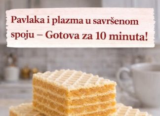 Pavlaka i plazma u savršenom spoju – Gotova za 10 minuta! Pavlaka i plazma u savršenom spoju – Gotova za 10 minuta! - featured image